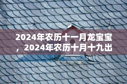 2024年农历十一月龙宝宝，2024年农历十月十九出生的女孩诗经取名