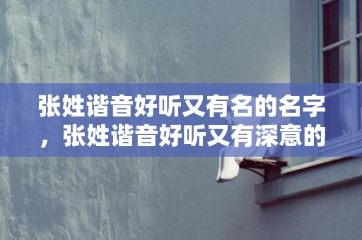 张姓谐音好听又有名的名字，张姓谐音好听又有深意的名字