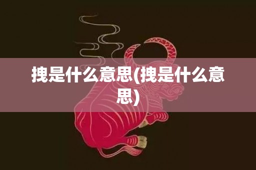 拽是什么意思(拽是什么意思)