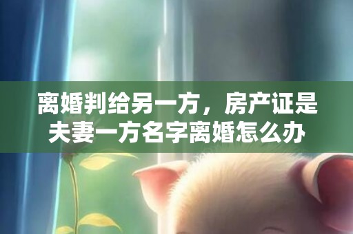 离婚判给另一方，房产证是夫妻一方名字离婚怎么办