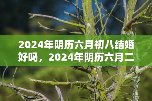 2024年阴历六月初八结婚好吗，2024年阴历六月二十七日出生的女孩是什么命