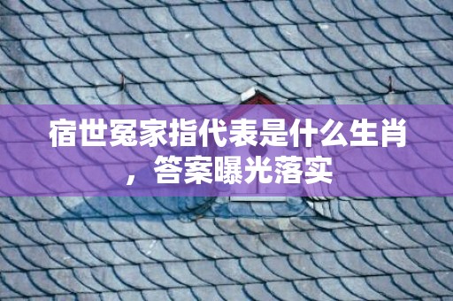 宿世冤家指代表是什么生肖，答案曝光落实插图