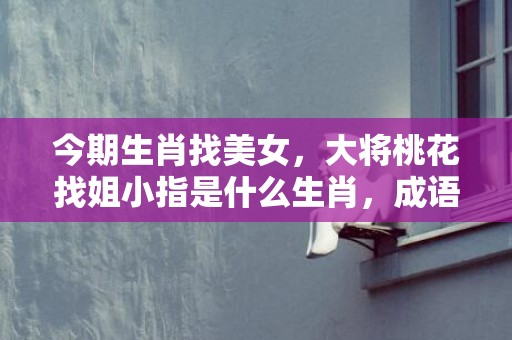 今期生肖找美女，大将桃花找姐小指是什么生肖，成语释义解释落实