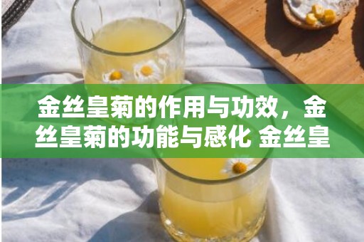 金丝皇菊的作用与功效，金丝皇菊的功能与感化 金丝皇菊的禁用群体