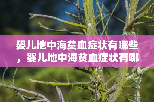 婴儿地中海贫血症状有哪些，婴儿地中海贫血症状有哪些