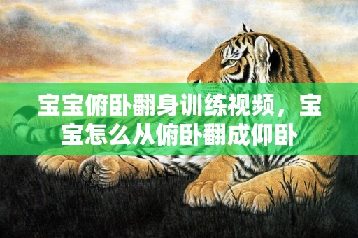 宝宝俯卧翻身训练视频，宝宝怎么从俯卧翻成仰卧