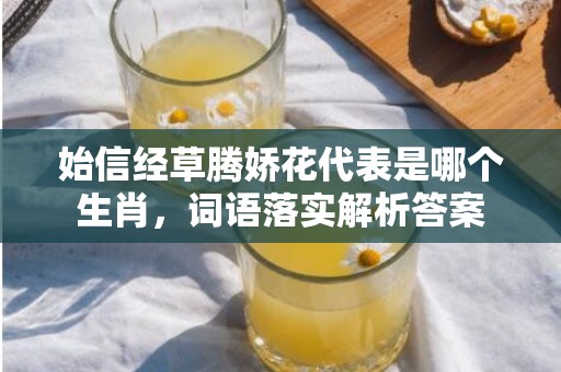 始信经草腾娇花代表是哪个生肖，词语落实解析答案