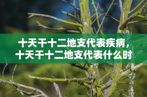 十天干十二地支代表疾病，十天干十二地支代表什么时间