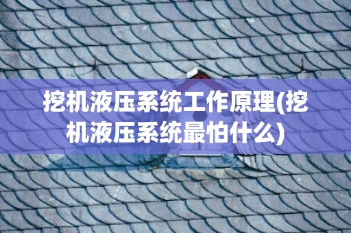 挖机液压系统工作原理(挖机液压系统最怕什么)