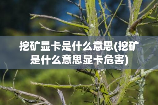 挖矿显卡是什么意思(挖矿是什么意思显卡危害)