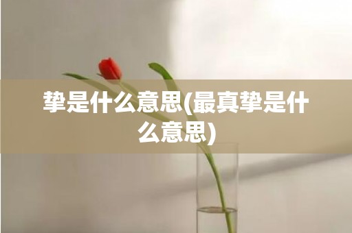 挚是什么意思(最真挚是什么意思)