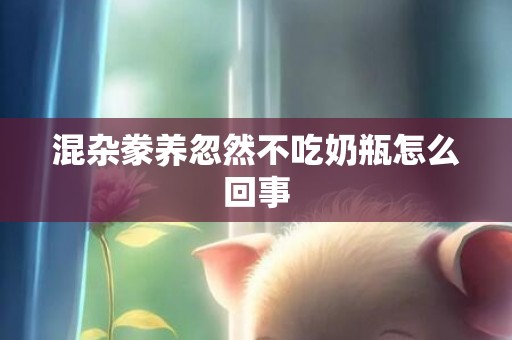 混杂豢养忽然不吃奶瓶怎么回事