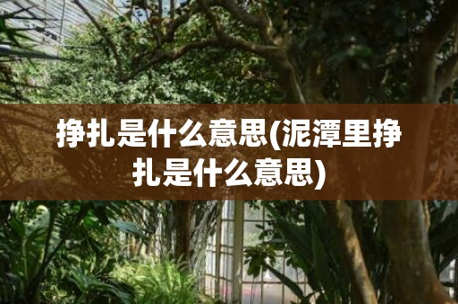 挣扎是什么意思(泥潭里挣扎是什么意思)