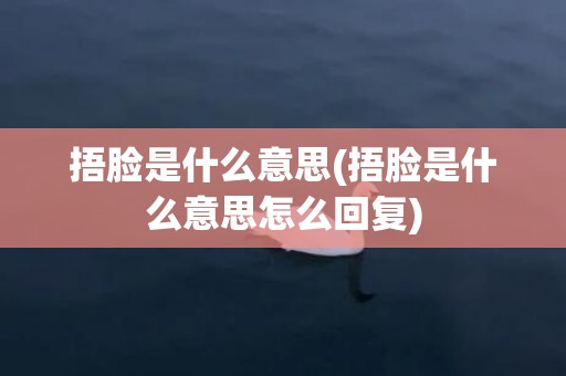 捂脸是什么意思(捂脸是什么意思怎么回复)