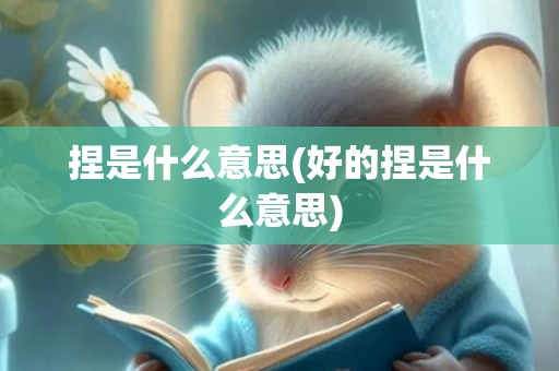 捏是什么意思(好的捏是什么意思)