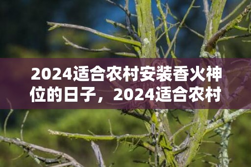 2024适合农村安装香火神位的日子，2024适合农村办厂项目