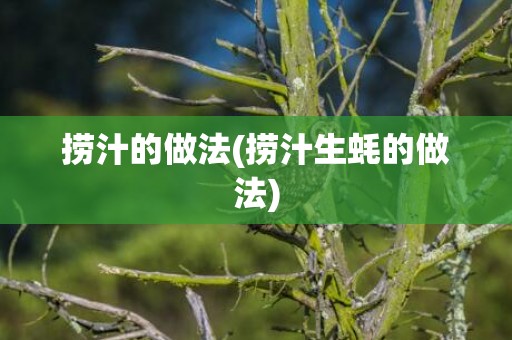捞汁的做法(捞汁生蚝的做法)