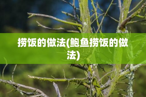 捞饭的做法(鲍鱼捞饭的做法)