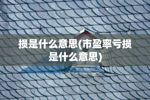 损是什么意思(市盈率亏损是什么意思)