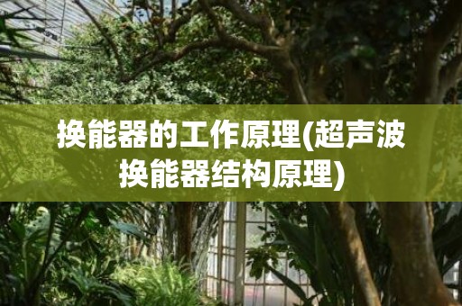 换能器的工作原理(超声波换能器结构原理)