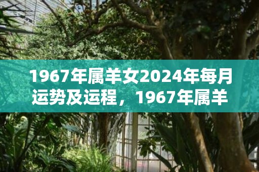 1967年属羊女2024年每月运势及运程，1967年属羊女2024年全年运势