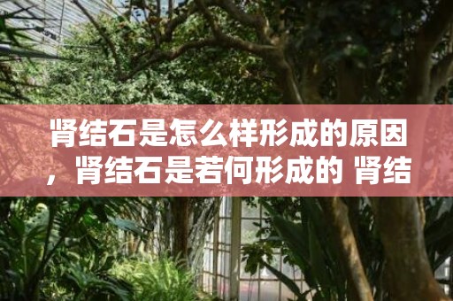 肾结石是怎么样形成的原因，肾结石是若何形成的 肾结石患者须要留意什么