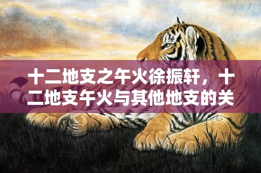 十二地支之午火徐振轩，十二地支午火与其他地支的关系