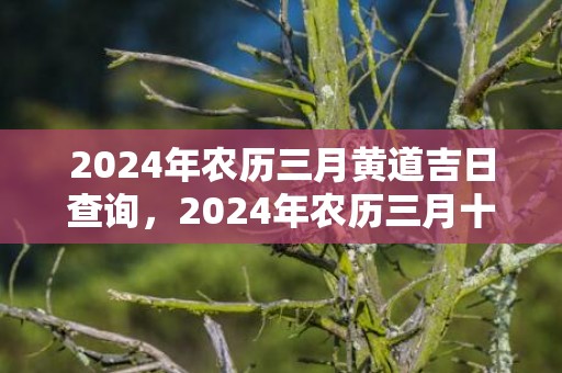 2024年农历三月黄道吉日查询，2024年农历三月十五当天求婚行不行