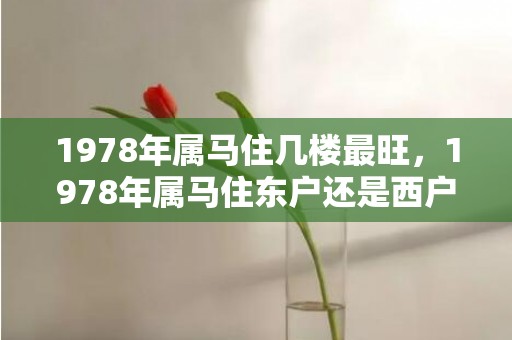 1978年属马住几楼最旺，1978年属马住东户还是西户好