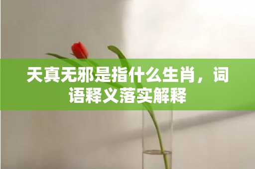 天真无邪是指什么生肖，词语释义落实解释