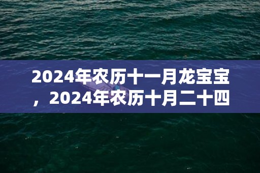 2024年农历十一月龙宝宝，2024年农历十月二十四可以结婚吗