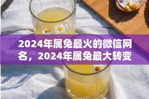 2024年属兔最火的微信网名，2024年属兔最大转变的一年吗