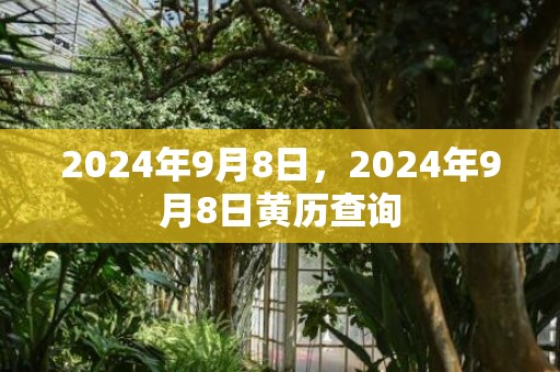 2024年9月8日，2024年9月8日黄历查询