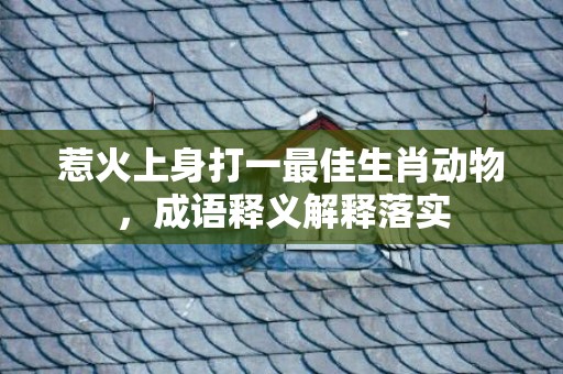 惹火上身打一最佳生肖动物，成语释义解释落实