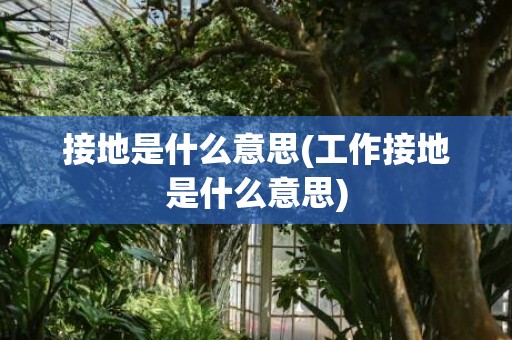 接地是什么意思(工作接地是什么意思)