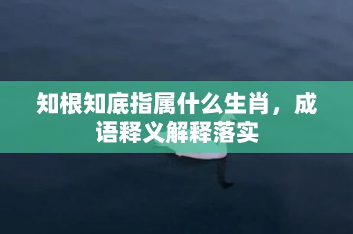 知根知底指属什么生肖，成语释义解释落实
