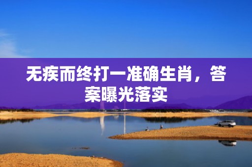 无疾而终打一准确生肖，答案曝光落实