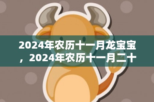 2024年农历十一月龙宝宝，2024年农历十一月二十出生的女孩名字