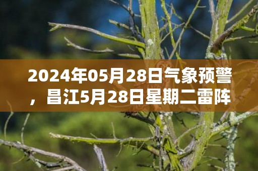 2024年05月28日气象预警，昌江5月28日星期二雷阵雨最高温度33度