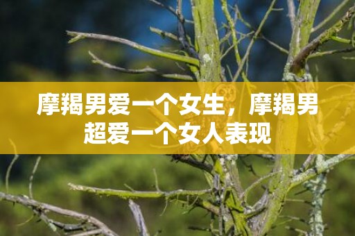 摩羯男爱一个女生，摩羯男超爱一个女人表现