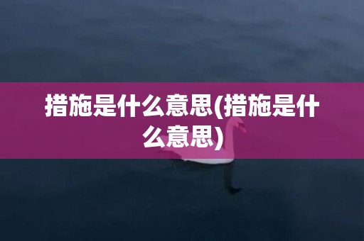 措施是什么意思(措施是什么意思)