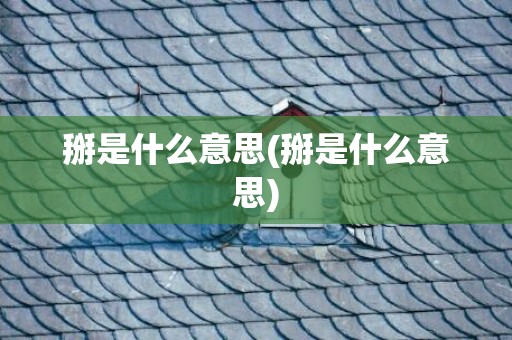 掰是什么意思(掰是什么意思)