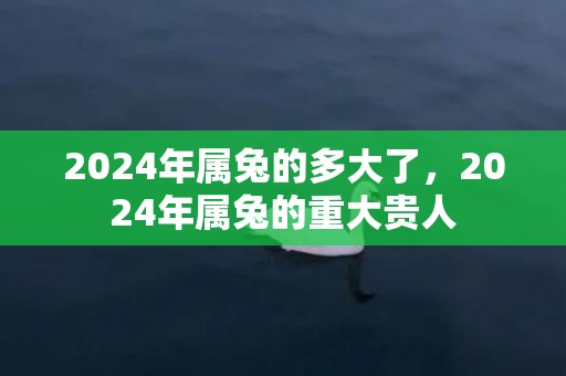 2024年属兔的多大了，2024年属兔的重大贵人