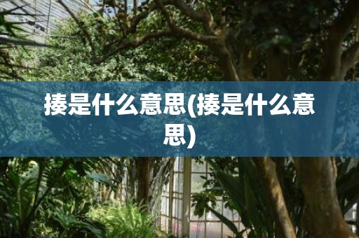 揍是什么意思(揍是什么意思)