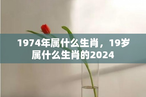 1974年属什么生肖，19岁属什么生肖的2024
