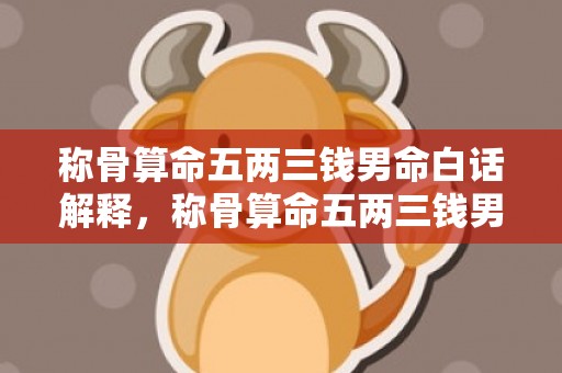 称骨算命五两三钱男命白话解释，称骨算命五两三钱男命解释详细