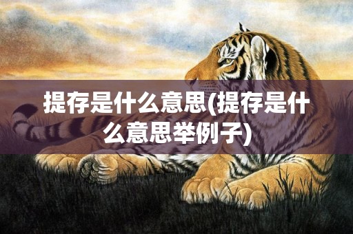 提存是什么意思(提存是什么意思举例子)