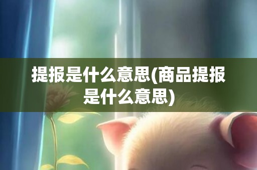 提报是什么意思(商品提报是什么意思)