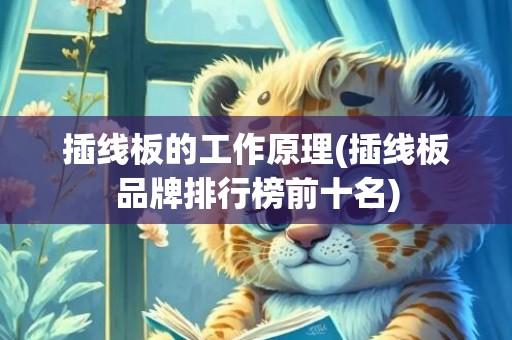 插线板的工作原理(插线板品牌排行榜前十名)