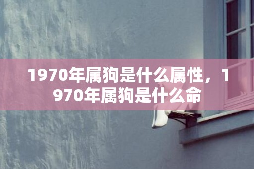 1970年属狗是什么属性，1970年属狗是什么命